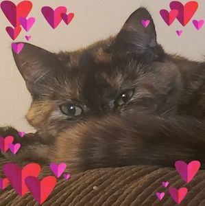 Meet your Posher, Mary lynn